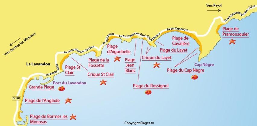Mazet De La Mer 54M2 Lavandou 100M Plage Avec Piscine 르 라방두 외부 사진